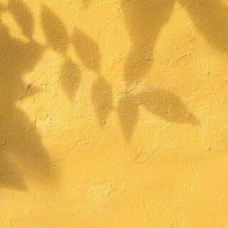 LA MISSION PARENTALE